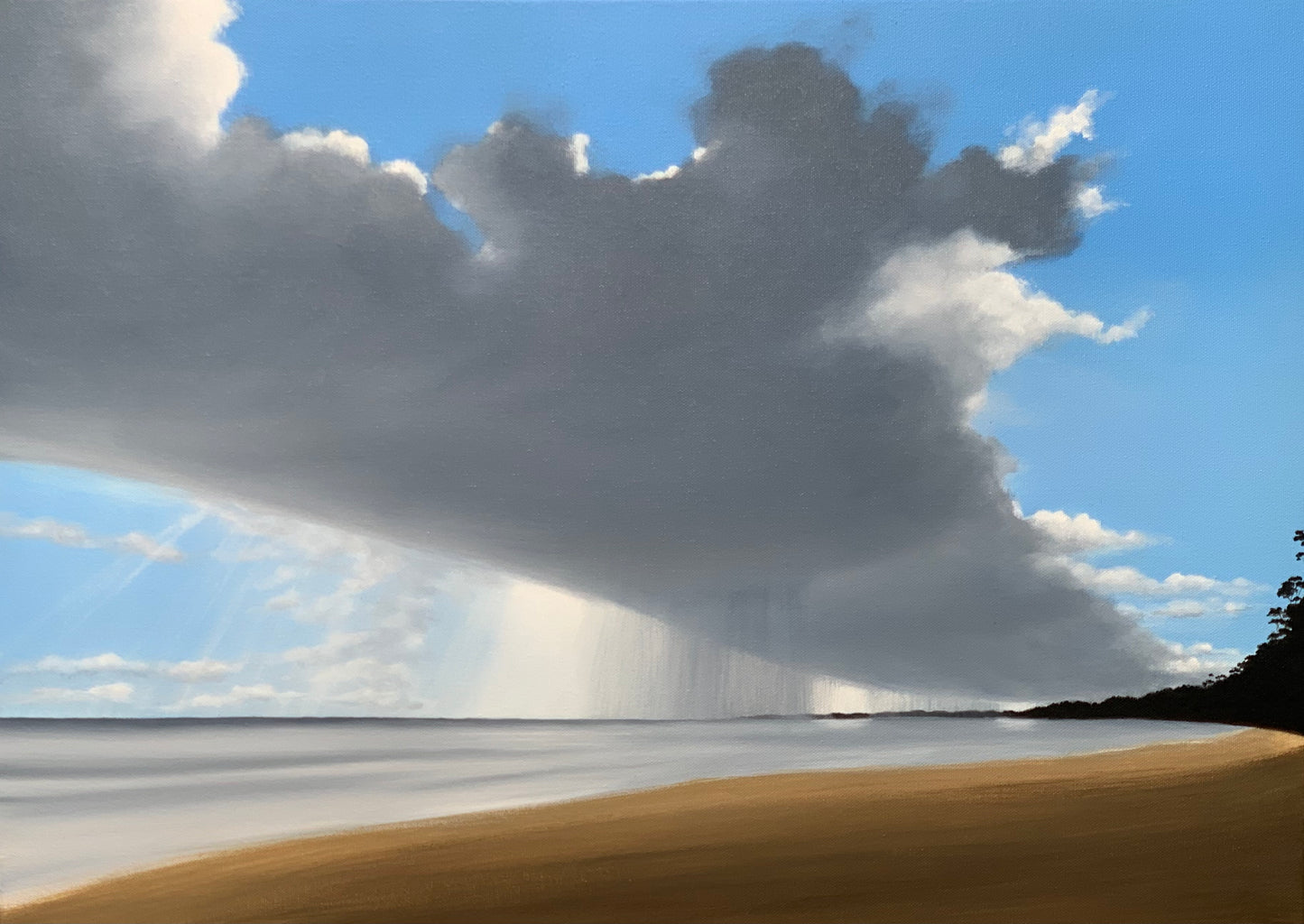 "Sea Eagles" - Fine Art Poster